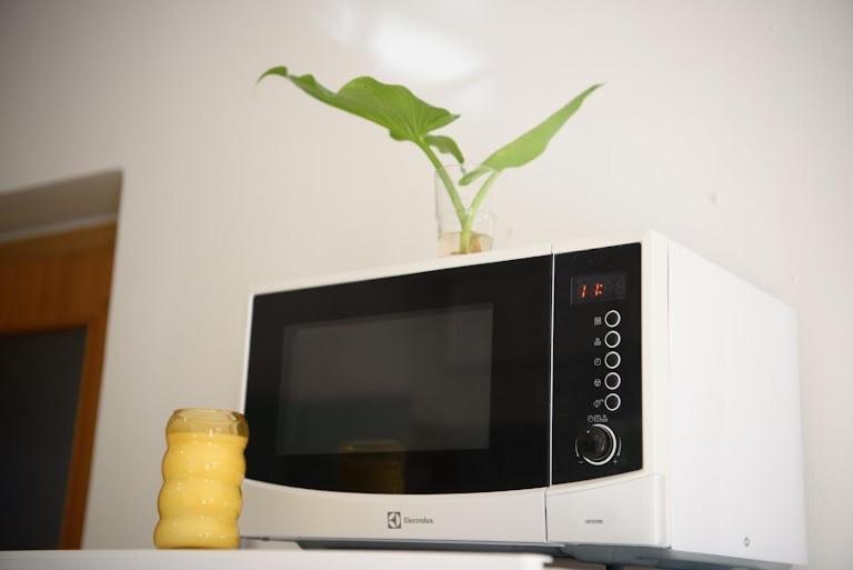 Villa Claudia Lemon Appartment Premantura Ngoại thất bức ảnh